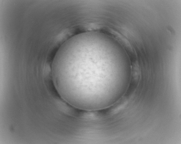 X0000115730523200911251941