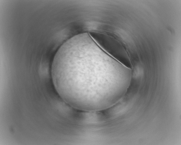 X0000115730524200911251941