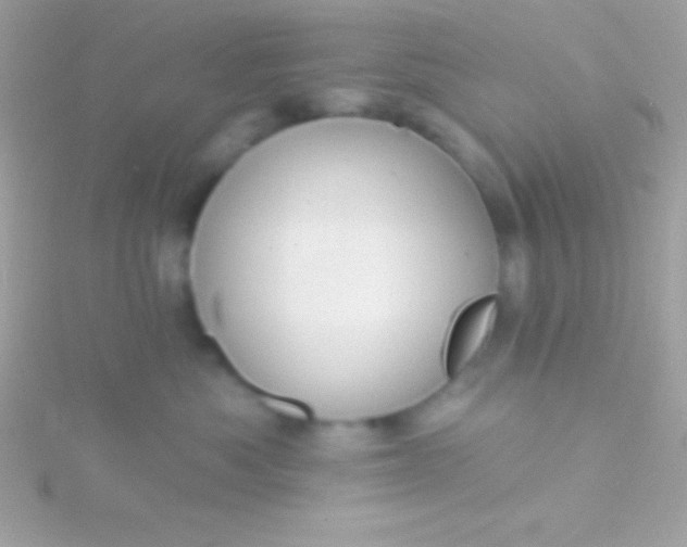 X0000115730525200911251941