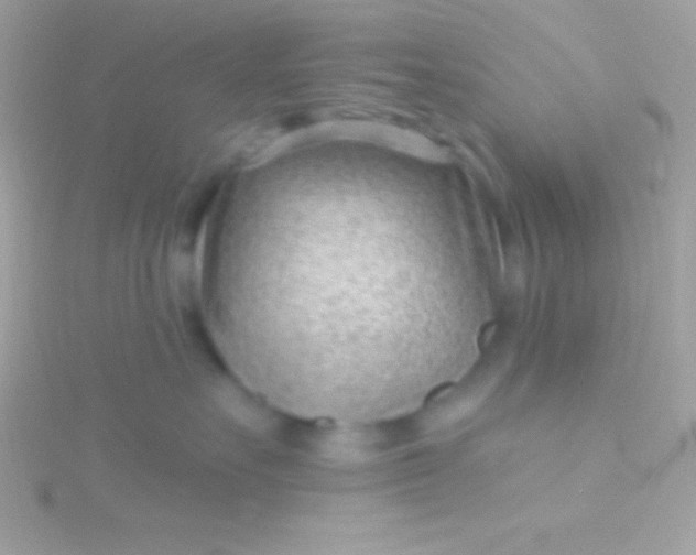 X0000115730527200911251941