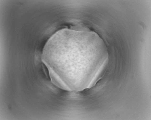 X0000115730528200911251941