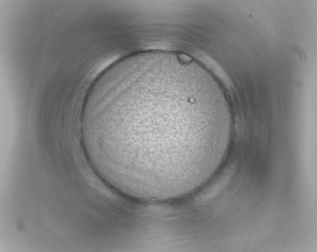 X0000115730529200911251940