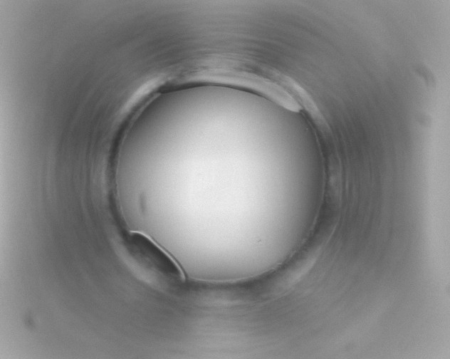 X0000115730530200911251940