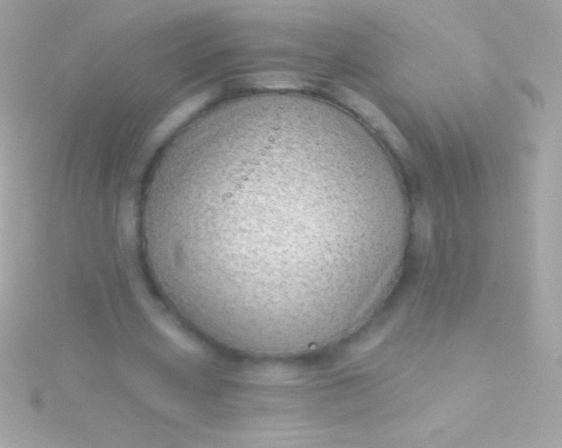 X0000115730533200911251940