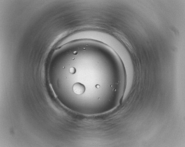 X0000115730534200911251940