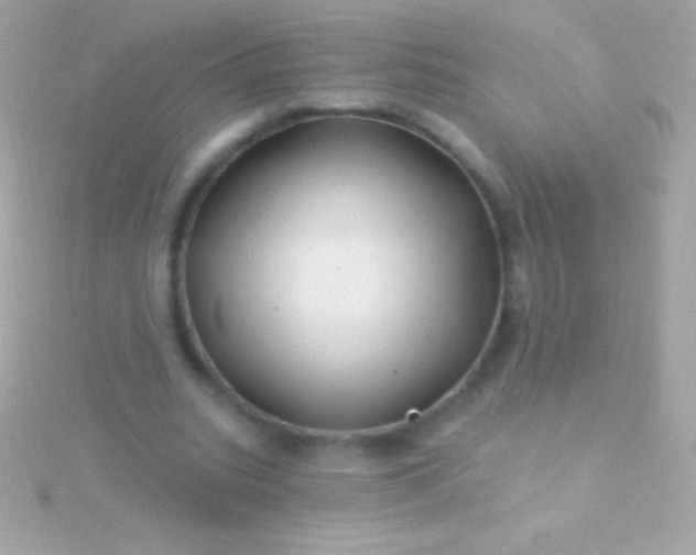 X0000115730535200911251940