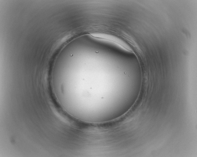 X0000115730538200911251940