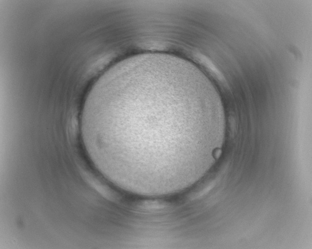 X0000115730541200911251940