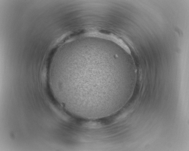 X0000115730542200911251940