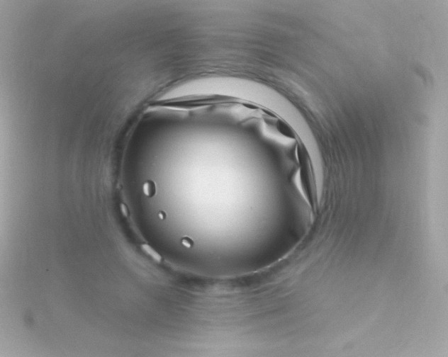 X0000115730546200911251940