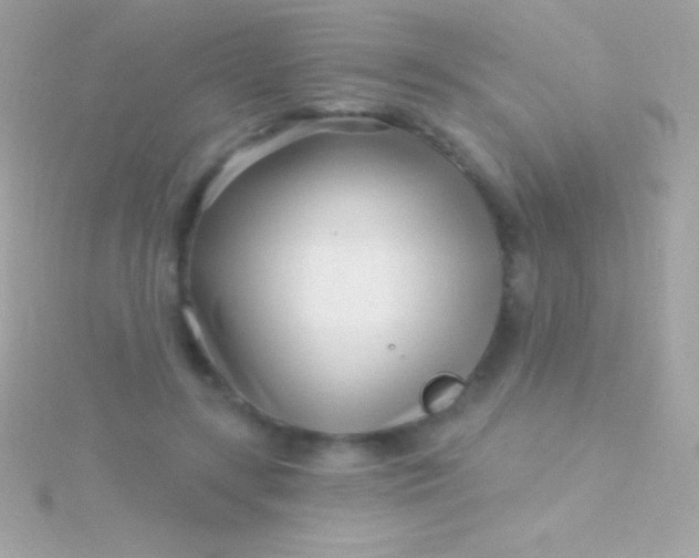 X0000115730547200911251940