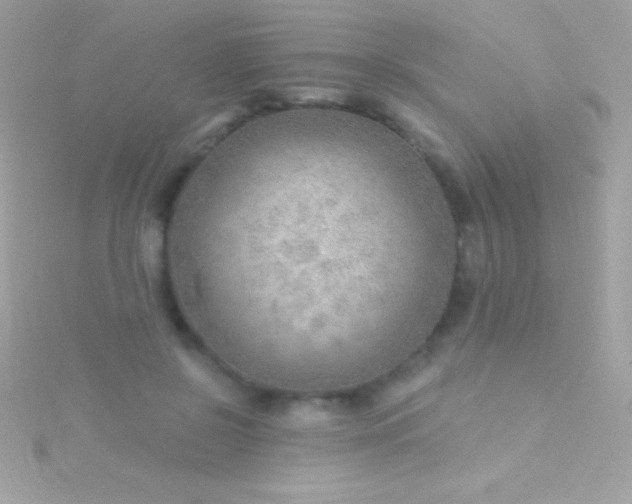 X0000115730550200911251940