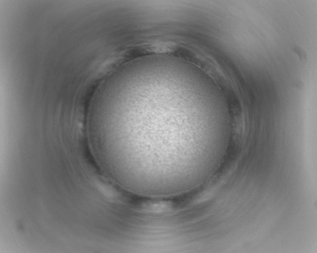 X0000115730553200911251940