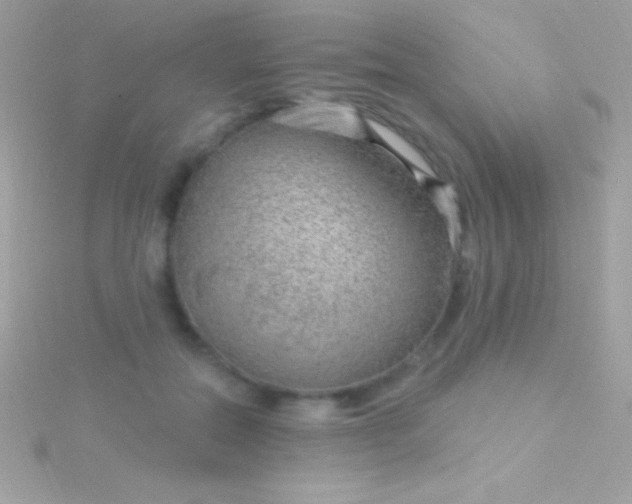 X0000115730554200911251940