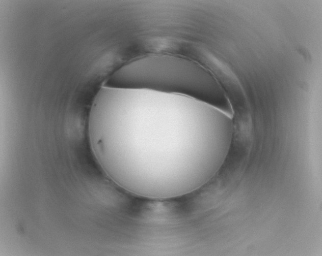 X0000115730558200911251940