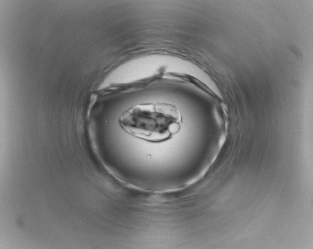 X0000115730562200911251940