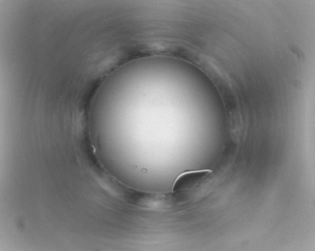 X0000115730563200911251940