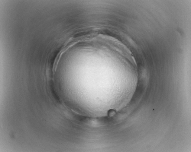 X0000115730565200911251940