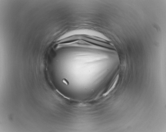 X0000115730566200911251940