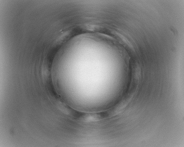 X0000115730569200911251941