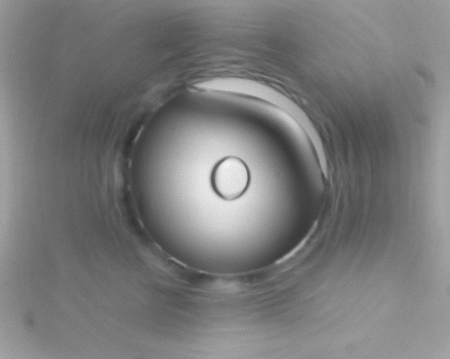 X0000115730570200911251941