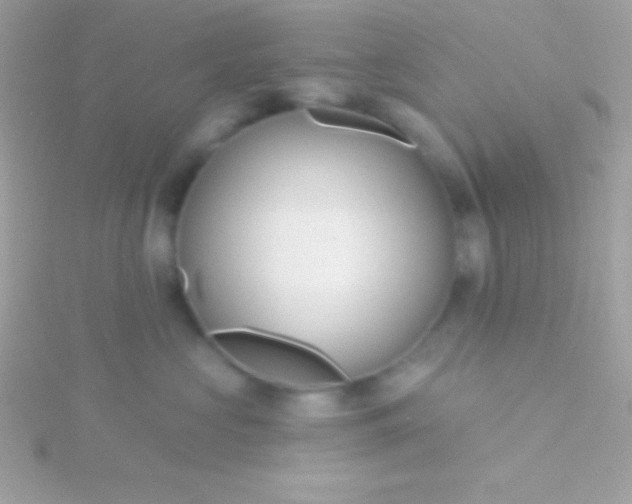 X0000115730573200911251941