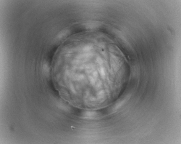 X0000115730575200911251941