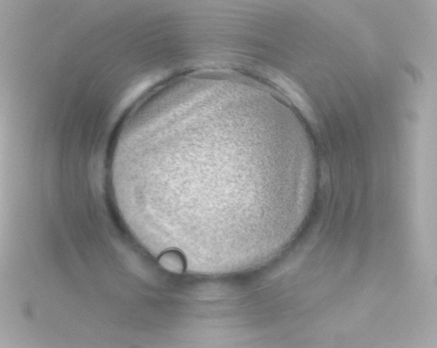 X0000115730578200911251940