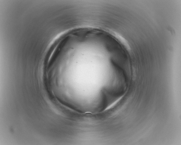 X0000115730580200911251940