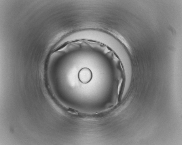 X0000115730581200911251940