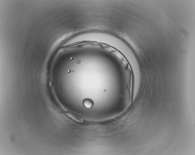 X0000115730583200911251940