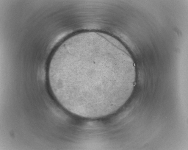 X0000115730584200911251940