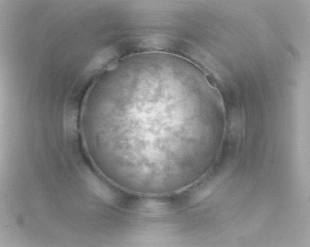 X0000115730585200911251940