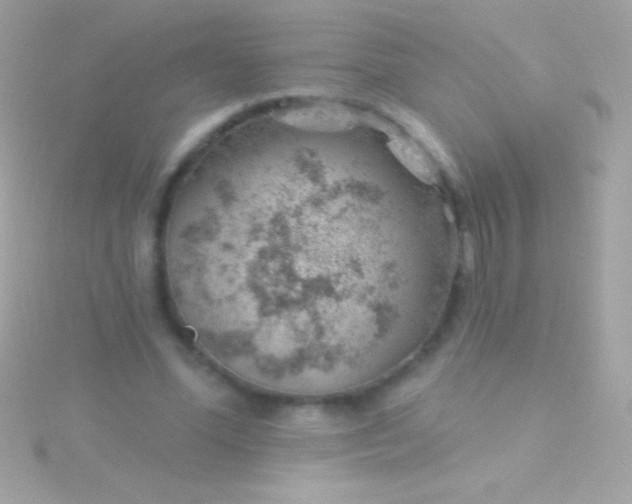 X0000115730588200911251940