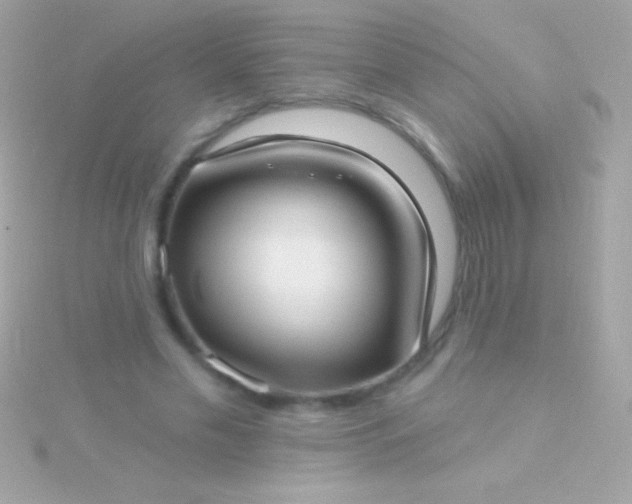 X0000115730589200911251940