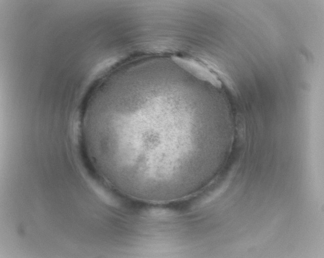 X0000115730590200911251940