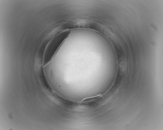 X0000115730593200911251940