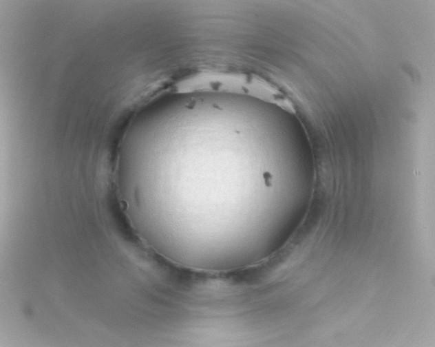 X0000115730594200911251940