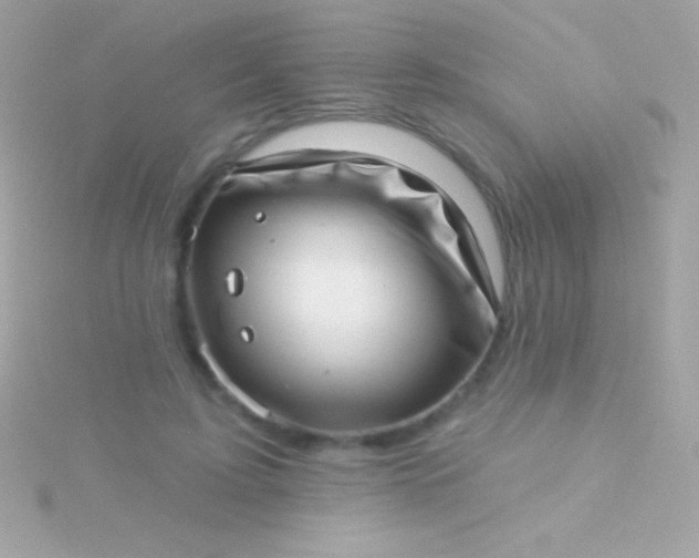 X0000115730595200911251940