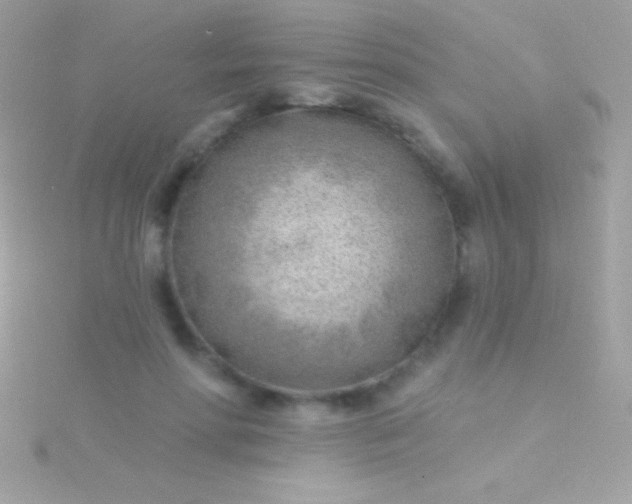 X0000115730598200911251940