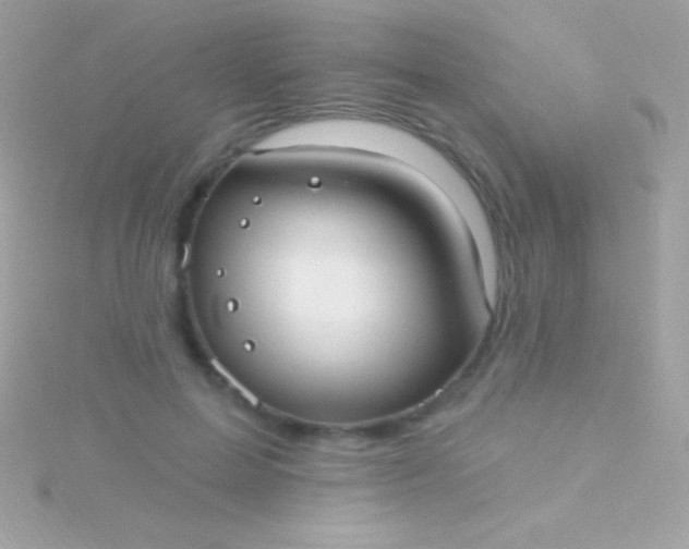 X0000115730599200911251940