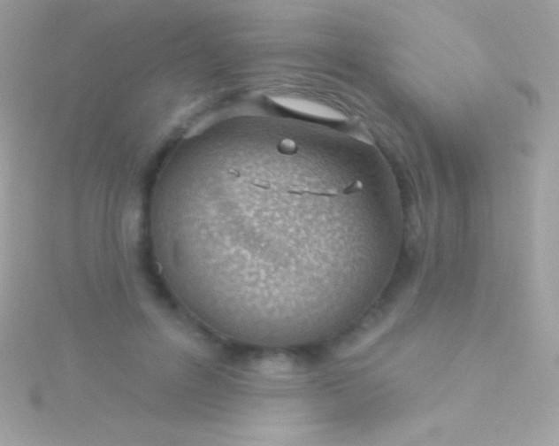 X0000115730600200911251940