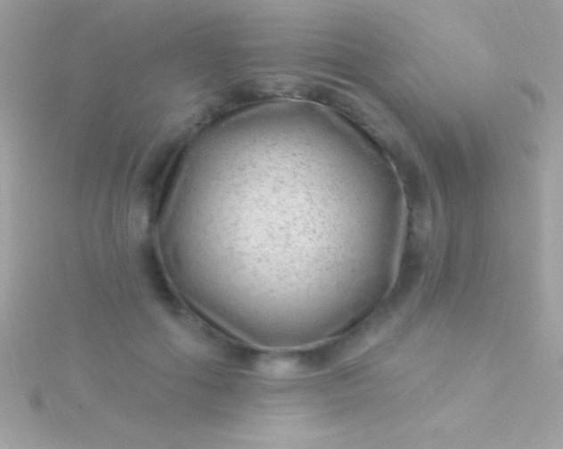 X0000115730602200911251940