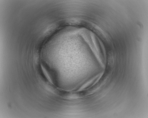 X0000115730604200911251939