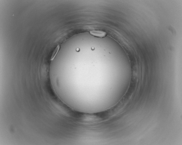 X0000115730605200911251939