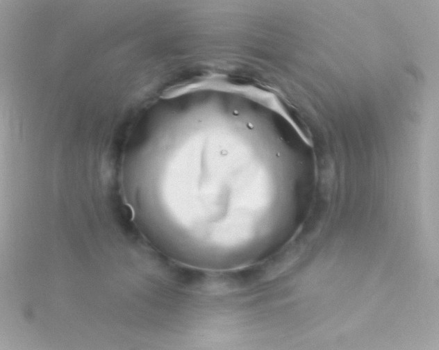 X0000115730608200911251939