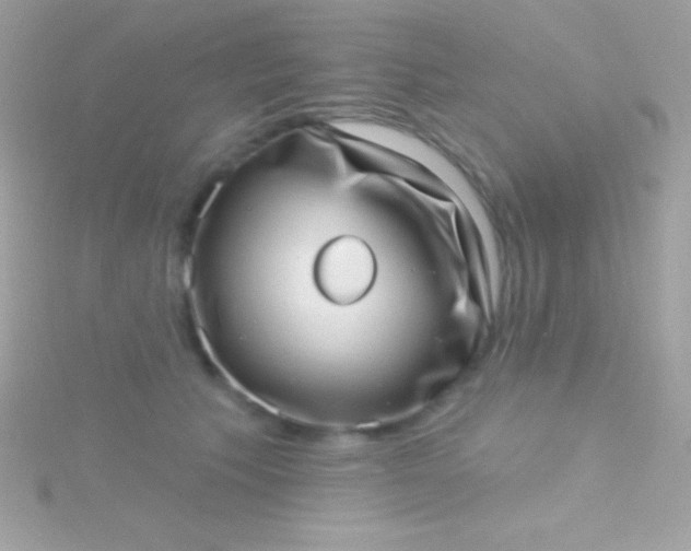 X0000115730609200911251939