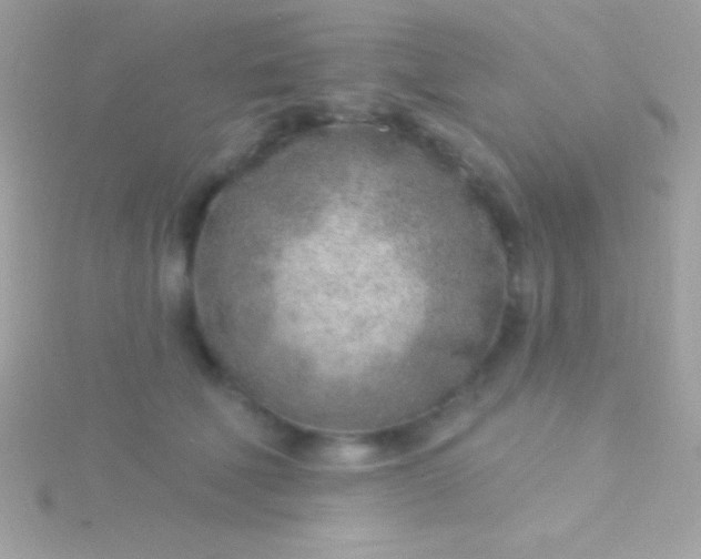 X0000115730610200911251939