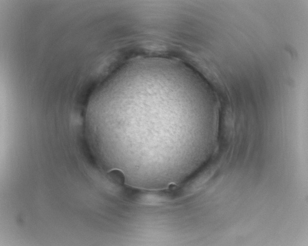 X0000115730614200911251939