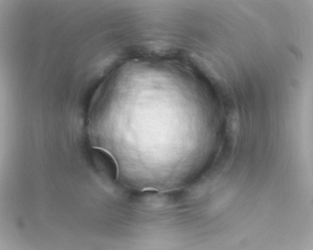 X0000115730615200911251939